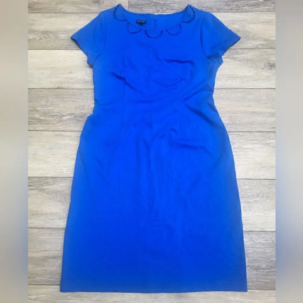 Talbots scalloped neckline cutouts blue sheath dress curve hugging stretch 6p